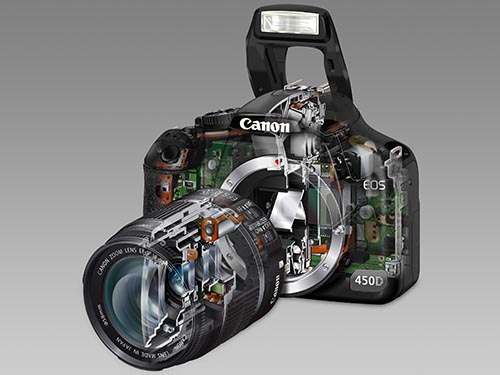 DSLR Cutaway