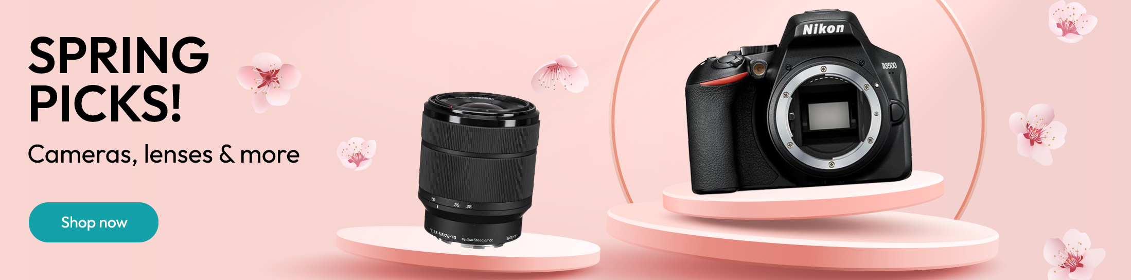 Spring Picks
